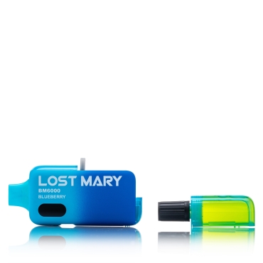 Lost Mary BM6000 Blueberry