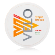 Velo - Tropical Mango Balanced