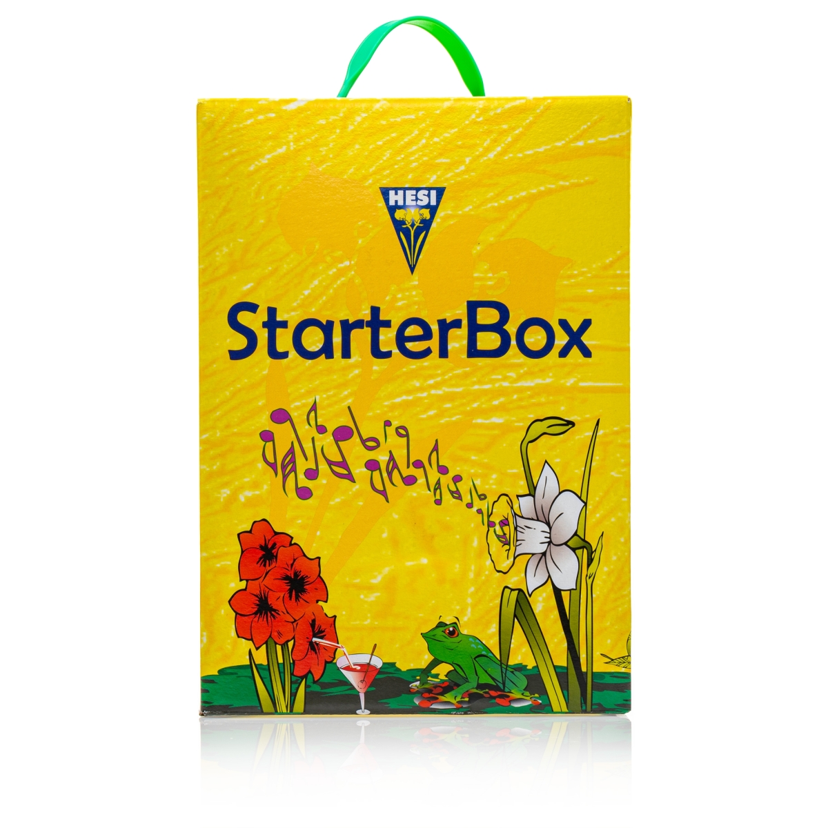 Hesi Starterbox Erde