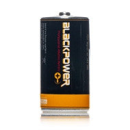 Baby Batterie Typ C. Attrappe Versteckdose