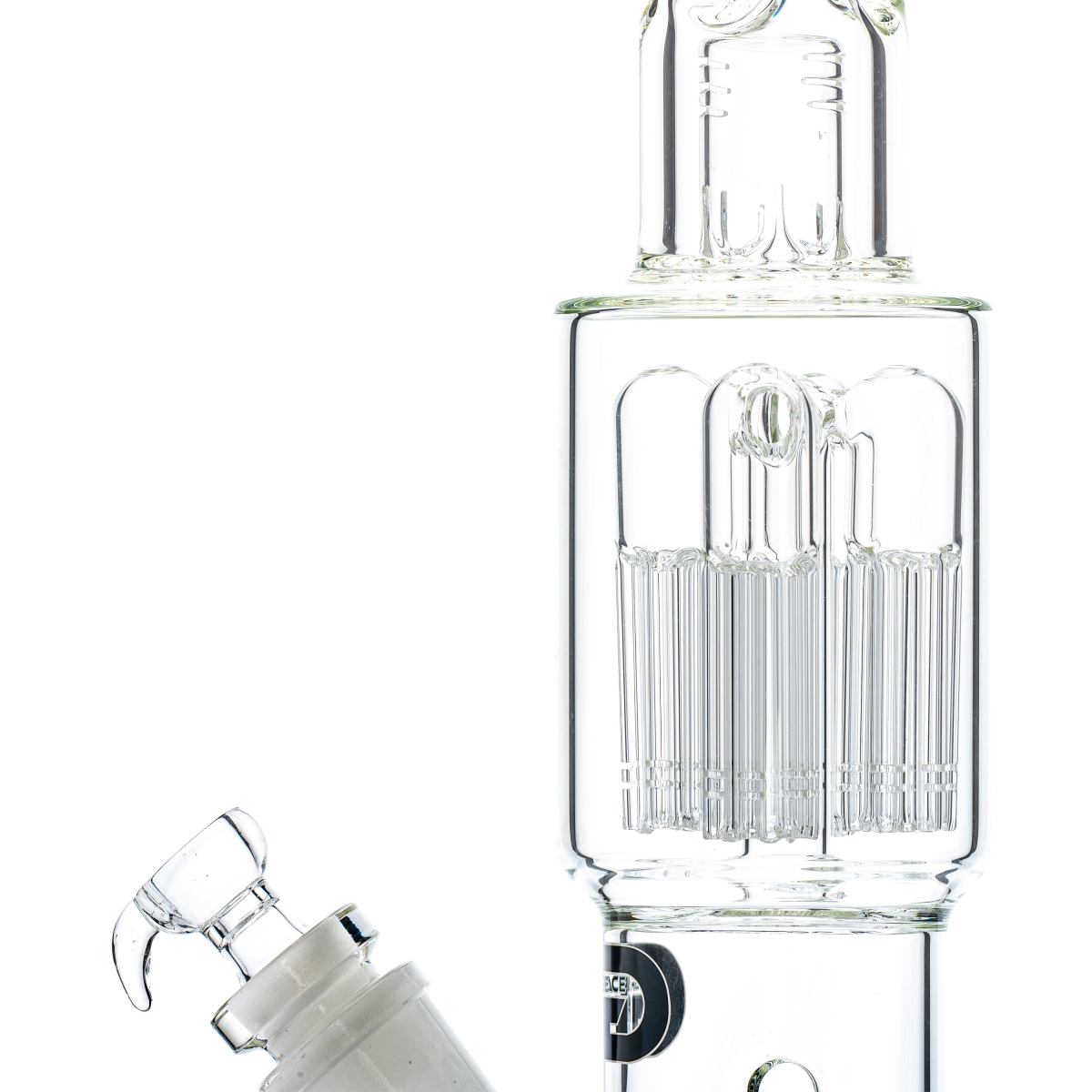 Grace Glass LABZ Series | Curvy