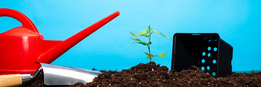 Grow Season 